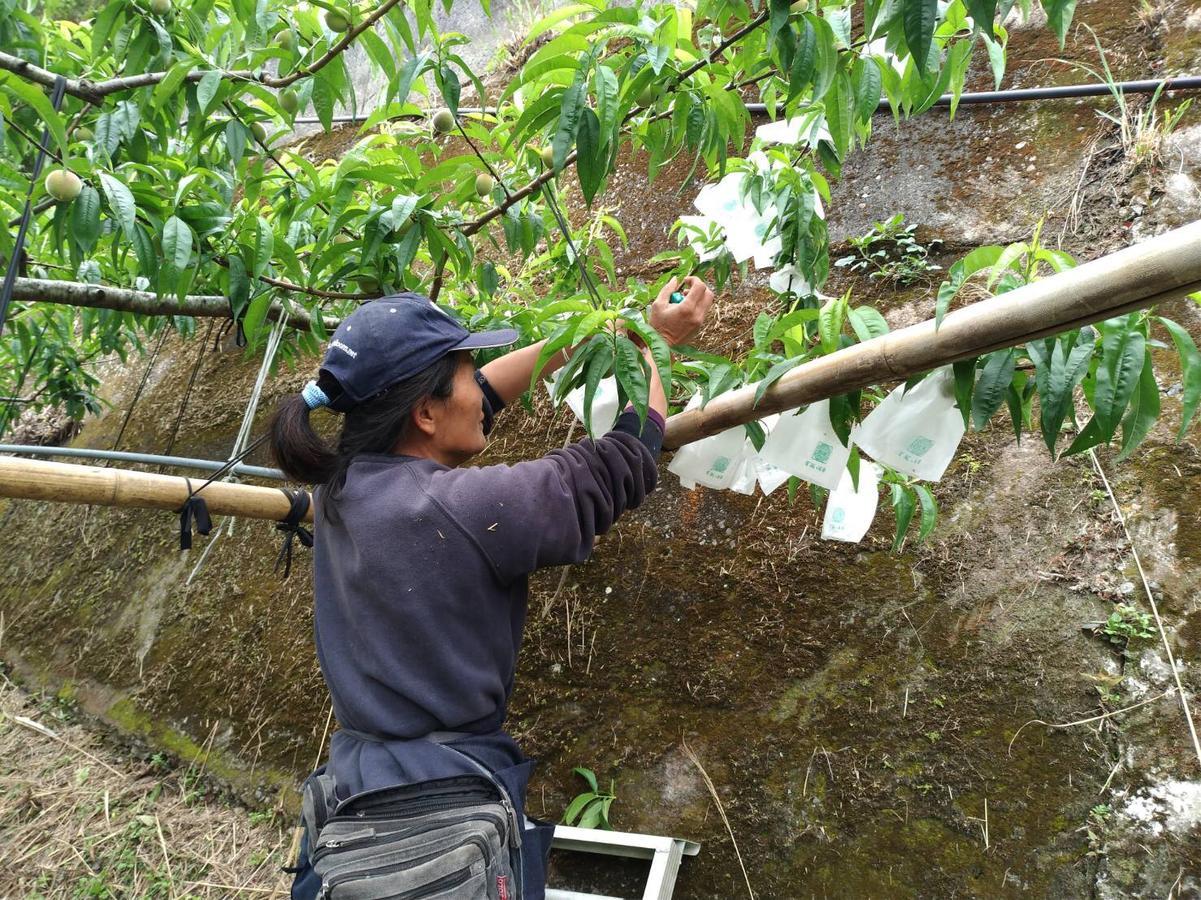 La La Shan 5.5Knong Zhuang Hualing Bagian luar foto